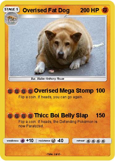 Pokemon Overised Fat Dog