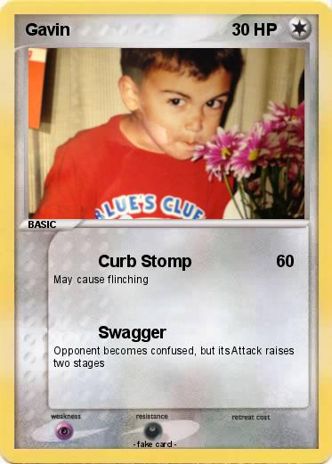 Pokemon Gavin