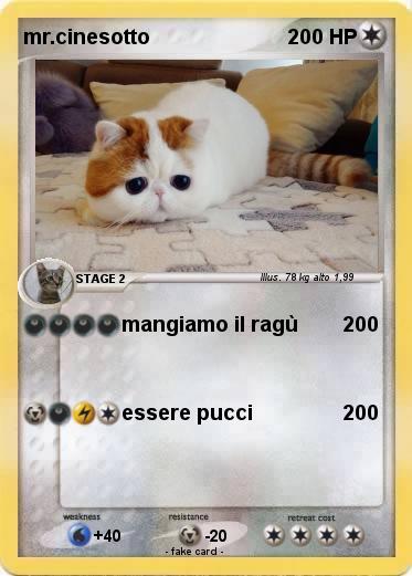 Pokemon mr.cinesotto