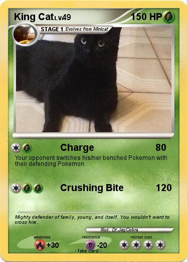 Pokemon King Cat