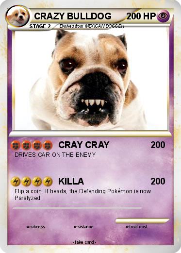 Pokemon CRAZY BULLDOG