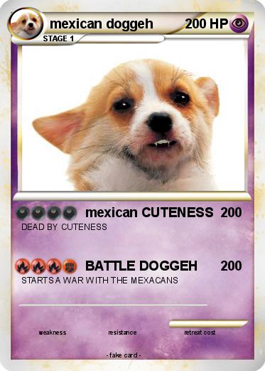 Pokemon mexican doggeh
