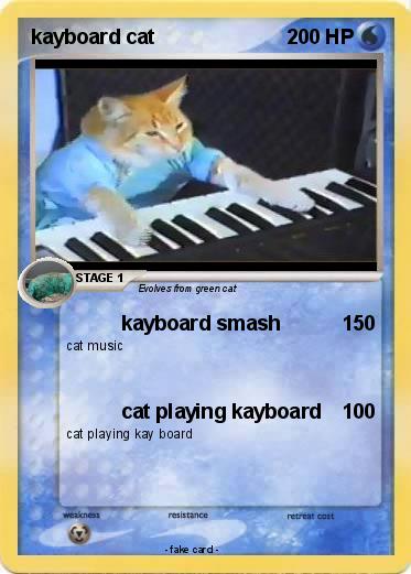Pokemon kayboard cat