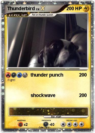 Pokemon Thunderbird