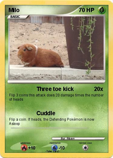 Pokemon Milo
