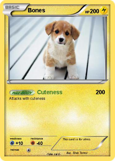 Pokemon Bones