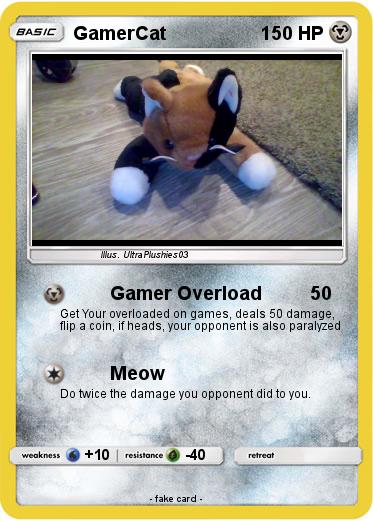 Pokemon GamerCat