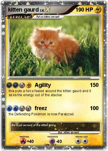 Pokemon kitten gaurd
