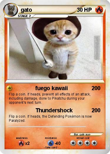 Pokemon gato