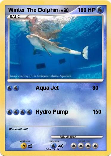 Pokemon Winter The Dolphin