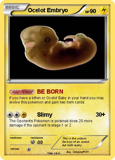 Pokemon Ocelot Embryo