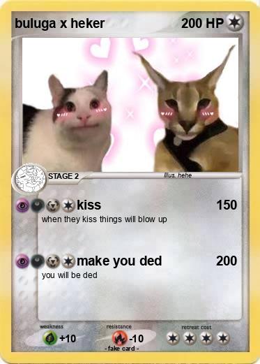Pokemon buluga x heker