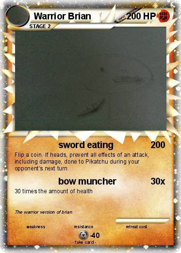 Pokemon Warrior Brian