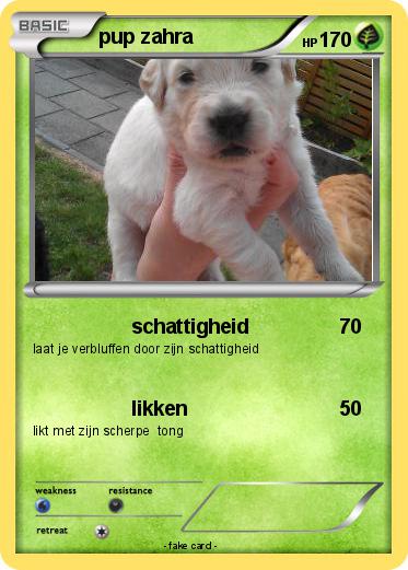 Pokemon pup zahra