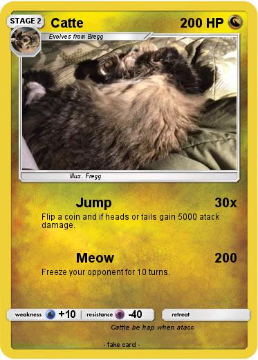 Pokemon Catte