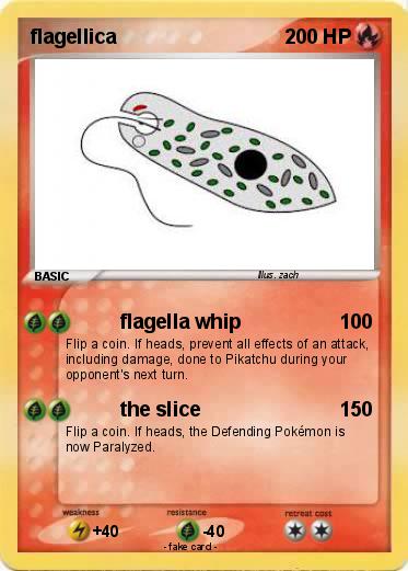 Pokemon flagellica