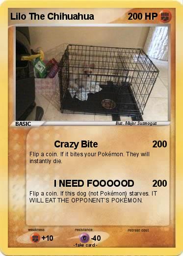 Pokemon Lilo The Chihuahua