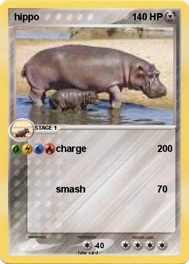 Pokemon hippo