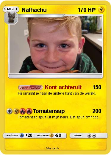 Pokemon Nathachu