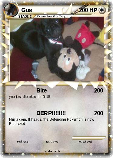 Pokemon Gus