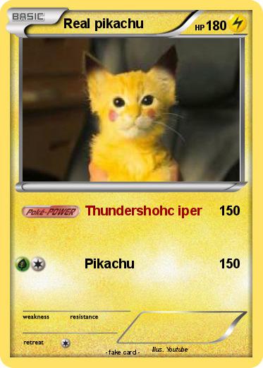 Pokemon Real pikachu