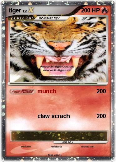 Pokemon tiger