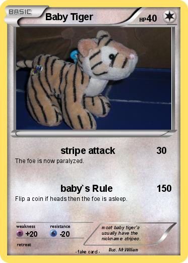 Pokemon Baby Tiger