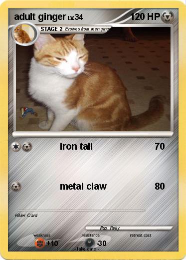 Pokemon adult ginger