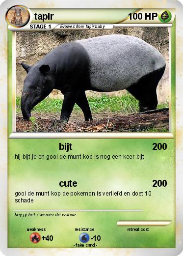 Pokemon tapir