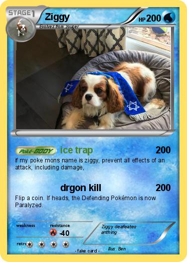 Pokemon Ziggy