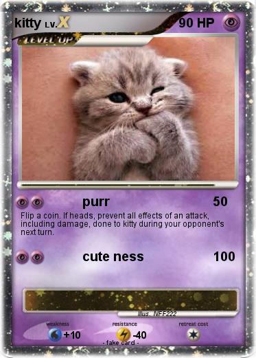 Pokemon kitty