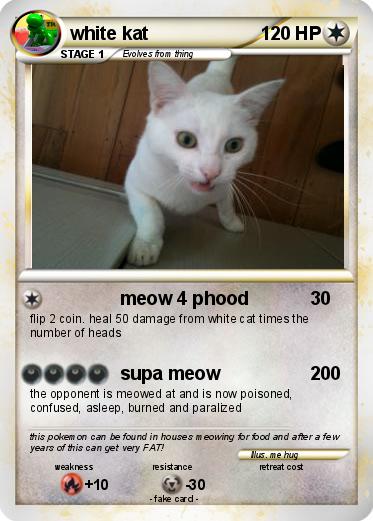 Pokemon white kat