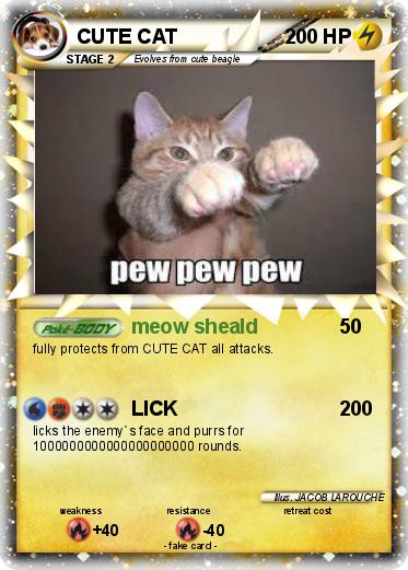Pokemon CUTE CAT