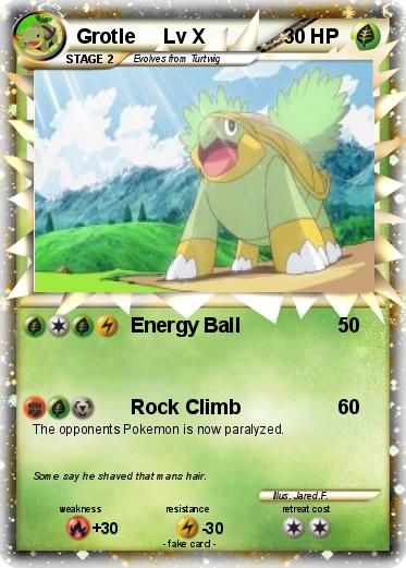 Pokemon Grotle     Lv X