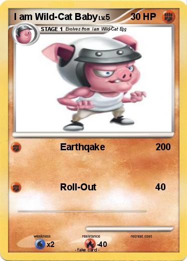 Pokemon I am Wild-Cat Baby