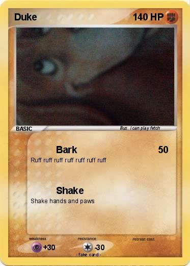 Pokemon Duke