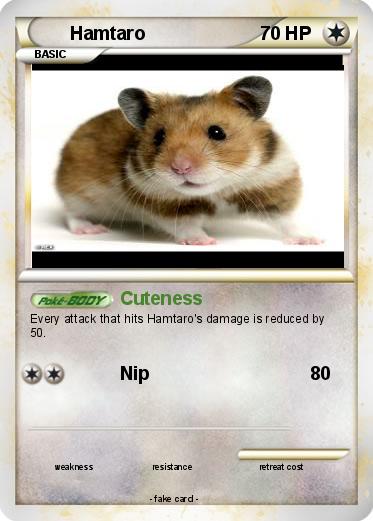 Pokemon Hamtaro