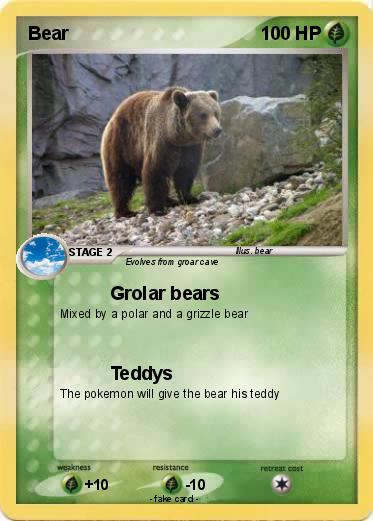 Pokemon Bear