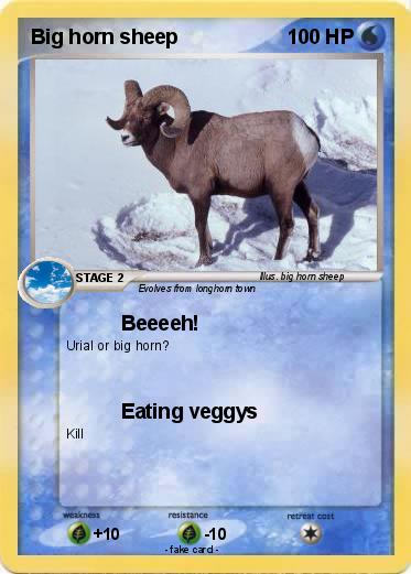 Pokemon Big horn sheep