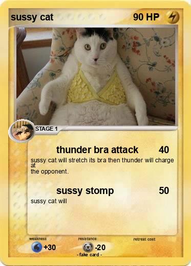 Pokemon sussy cat