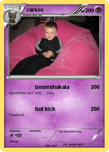 Pokemon carsox