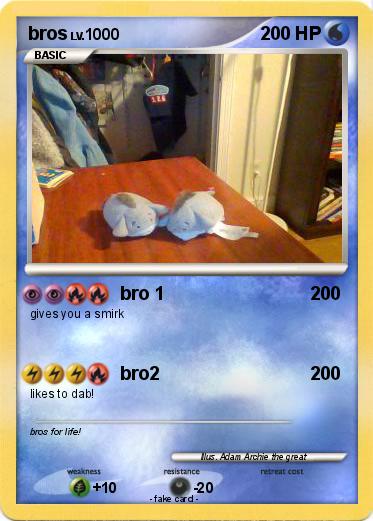 Pokemon bros