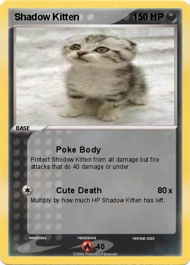 Pokemon Shadow Kitten