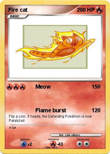 Pokemon Fire cat