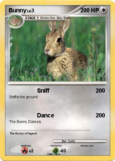 Pokemon Bunny