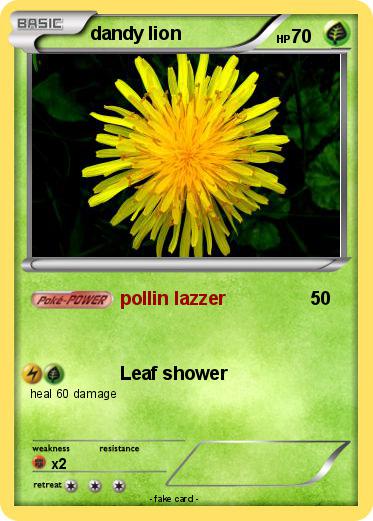 Pokemon dandy lion