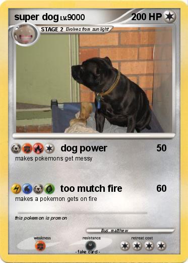 Pokemon super dog