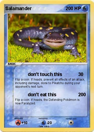 Pokemon Salamander