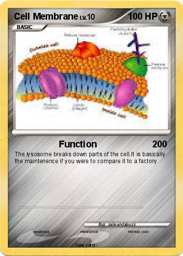 Pokemon Cell Membrane