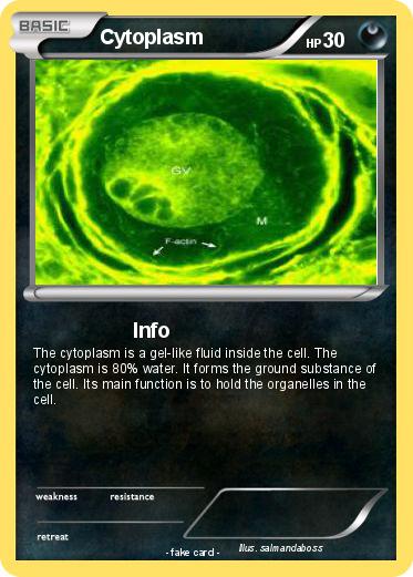 Pokemon Cytoplasm